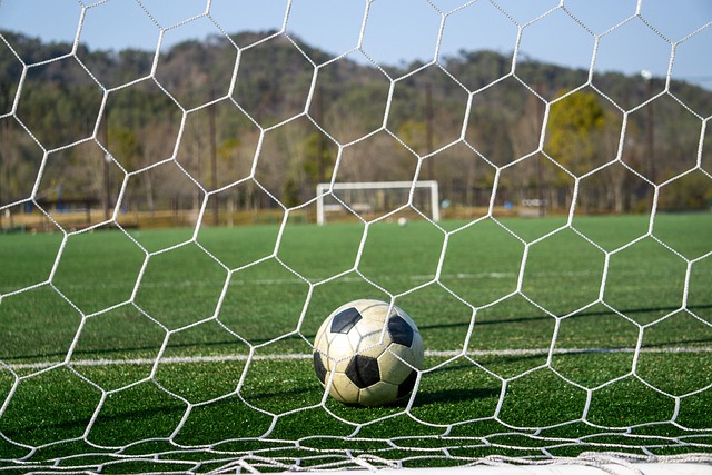 而这位新援 而这位新援