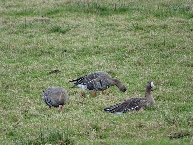 战术安排上 战术安排上
