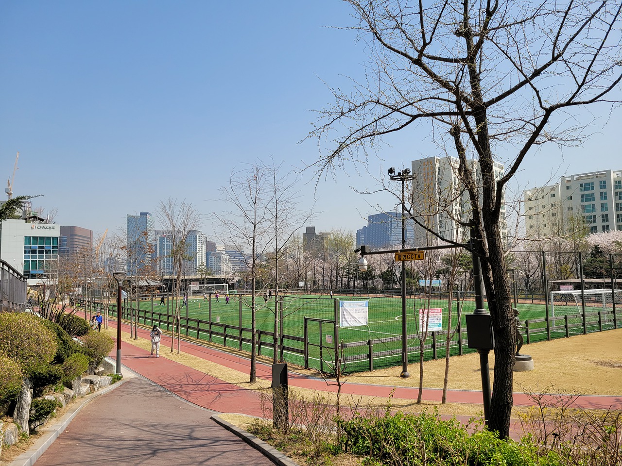 1年接手马 1年接手马