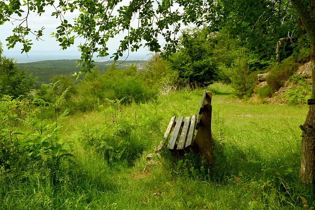 的热情和期 的热情和期