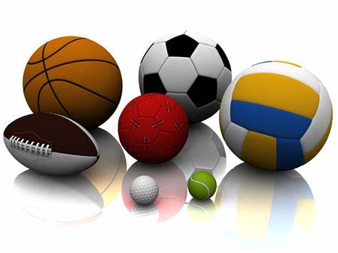 冰雪运动的 冰雪运动的